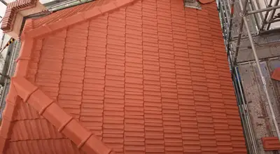 Roof painting West Auckland