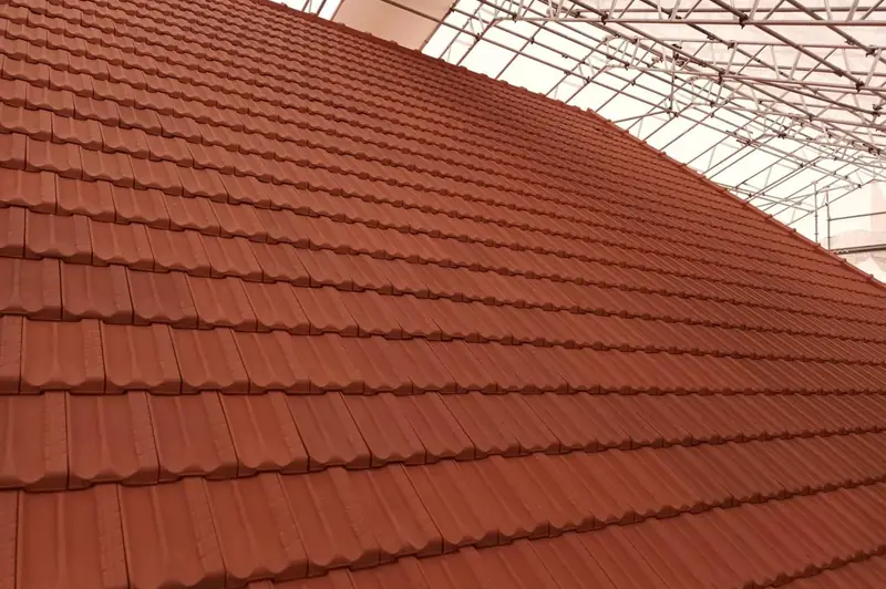 Roof painting North Shore Auckland
