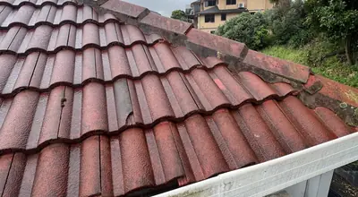Gutter replacement Auckland City