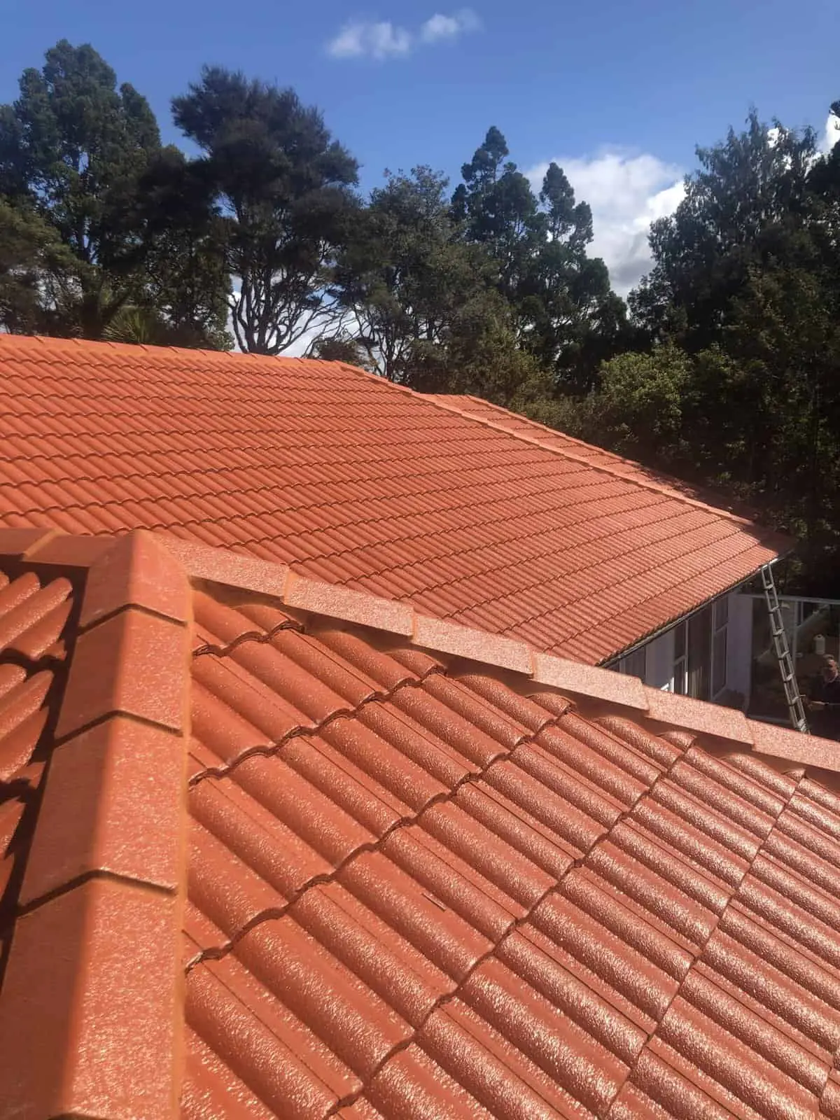 Roof Painting Auckland Guide