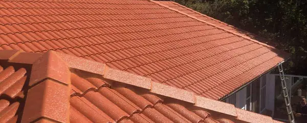 Roof Painting Auckland