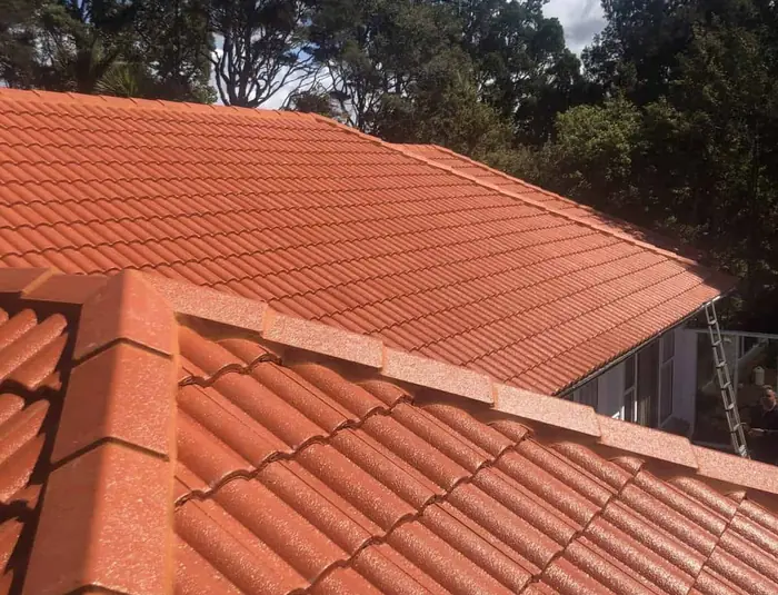 Professional roof spray painting on Auckland tile roof