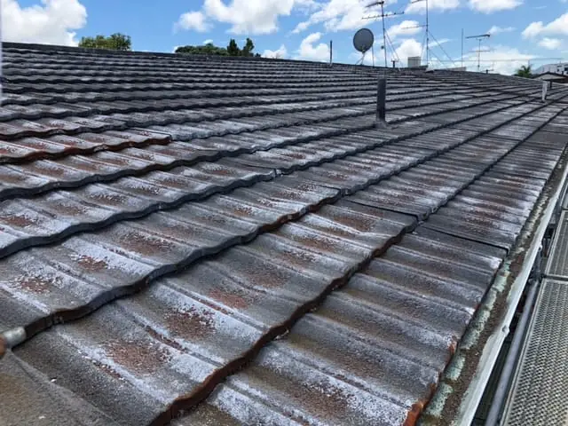 Signs your roof needs repair or replacement NZ