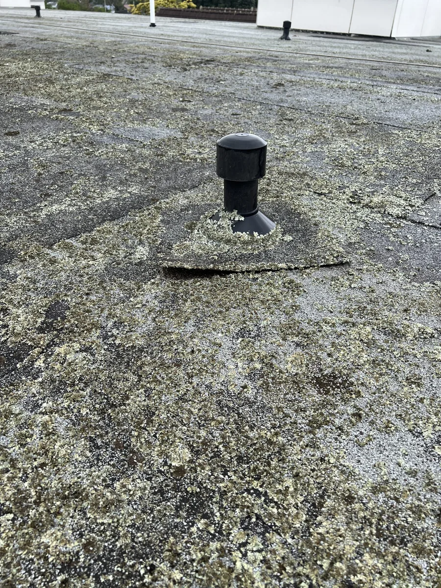 Commercial Roofing Auckland