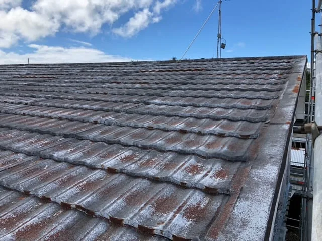 Roof repairs in Whangarei Northland