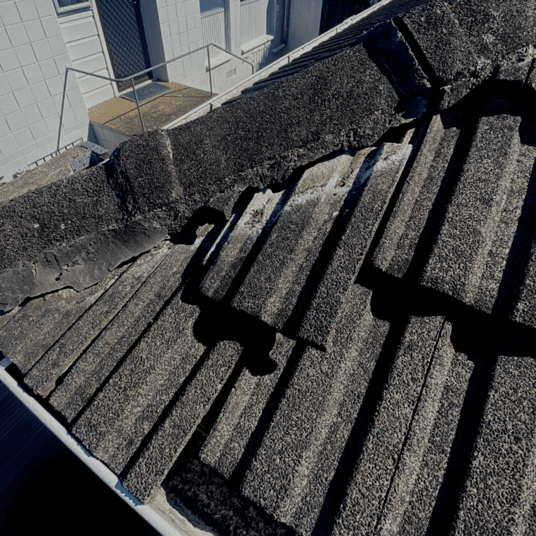 Tile Roof Repairs Auckland, NZ Concrete & Clay Delta Roofing