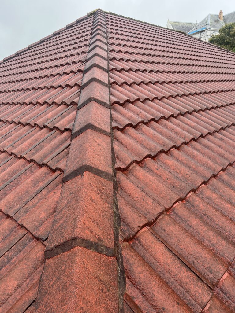 Tile Roof Repairs Auckland, NZ Concrete & Clay Delta Roofing