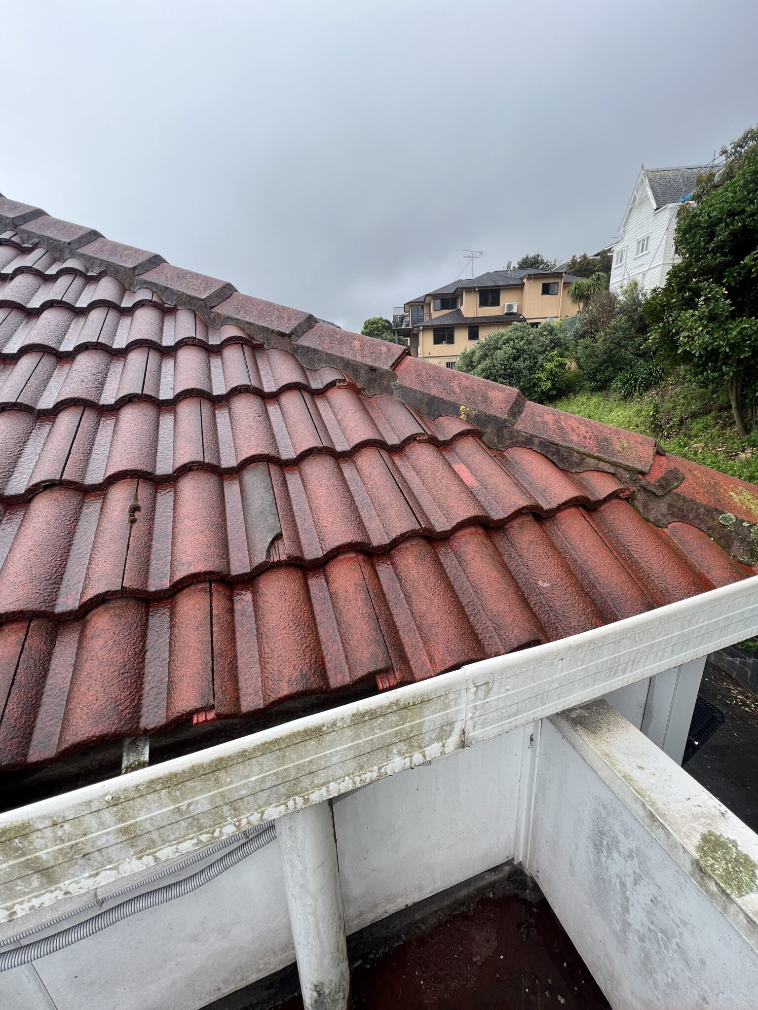 Tile Roof Repairs Auckland, NZ Concrete & Clay Delta Roofing